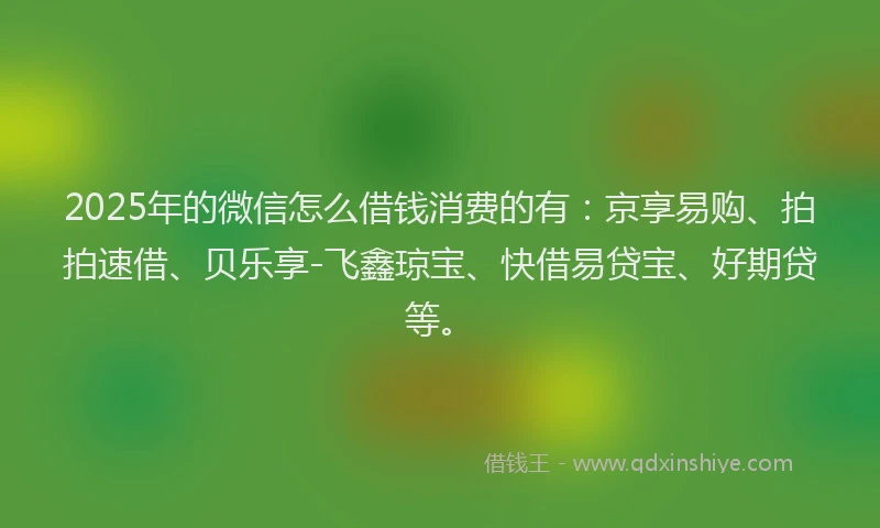 2025年的微信怎么借钱消费的有：京享易购、拍拍速借、贝乐享-飞鑫琼宝、快借易贷宝、好期贷等。