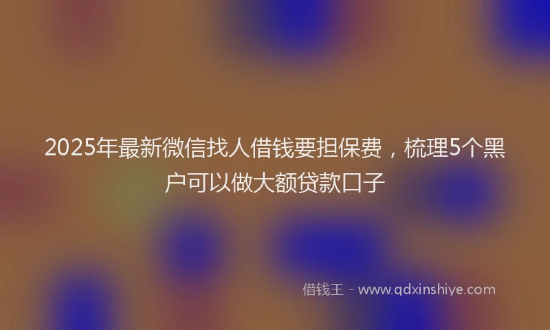2025年最新微信找人借钱要担保费，梳理5个黑户可以做大额贷款口子