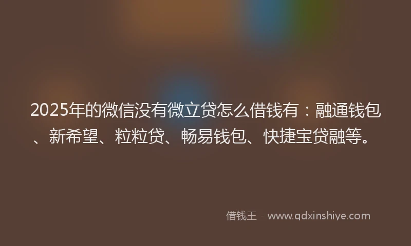 2025年的微信没有微立贷怎么借钱有：融通钱包、新希望、粒粒贷、畅易钱包、快捷宝贷融等。