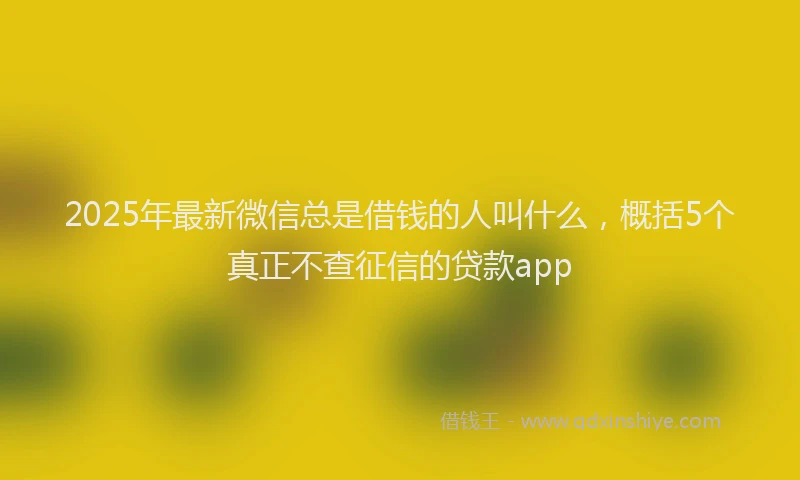 2025年最新微信总是借钱的人叫什么，概括5个真正不查征信的贷款app