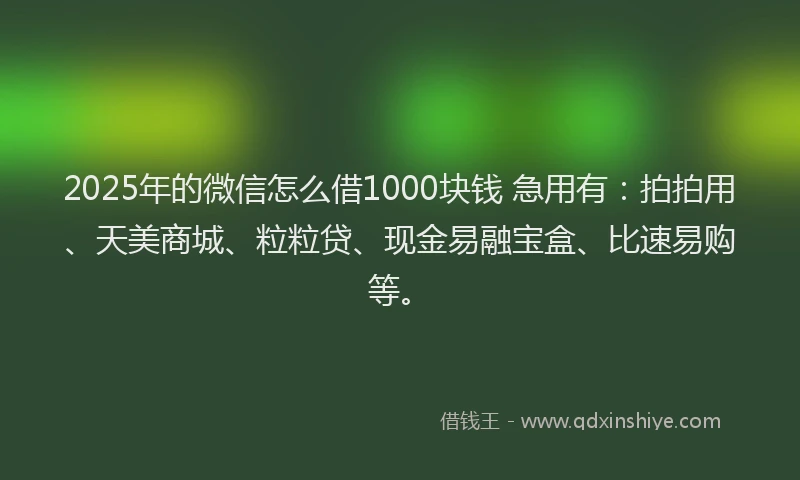 2025年的微信怎么借1000块钱 急用有：拍拍用、天美商城、粒粒贷、现金易融宝盒、比速易购等。