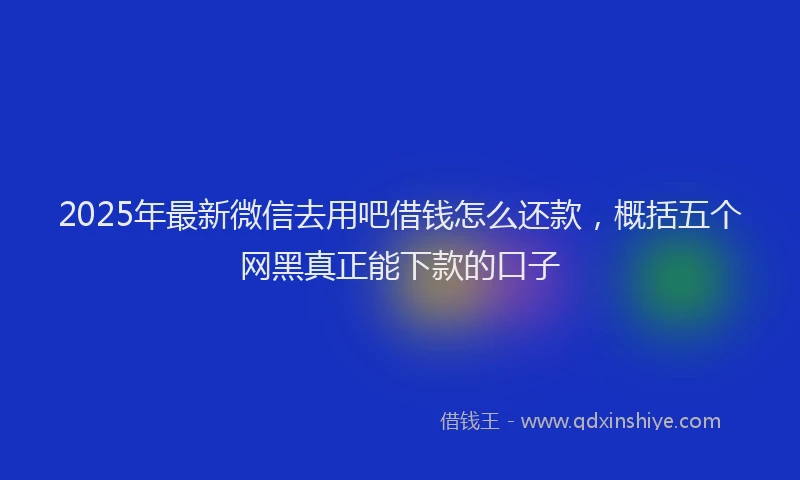 2025年最新微信去用吧借钱怎么还款，概括五个网黑真正能下款的口子