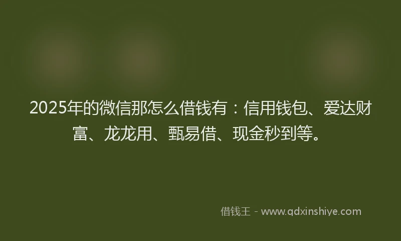 2025年的微信那怎么借钱有：信用钱包、爱达财富、龙龙用、甄易借、现金秒到等。
