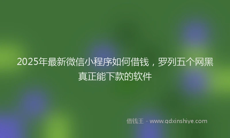2025年最新微信小程序如何借钱，罗列五个网黑真正能下款的软件