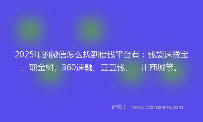2025年的微信怎么找到借钱平台有：钱袋速贷宝、现金树、360速融、豆豆钱、一川商城等。