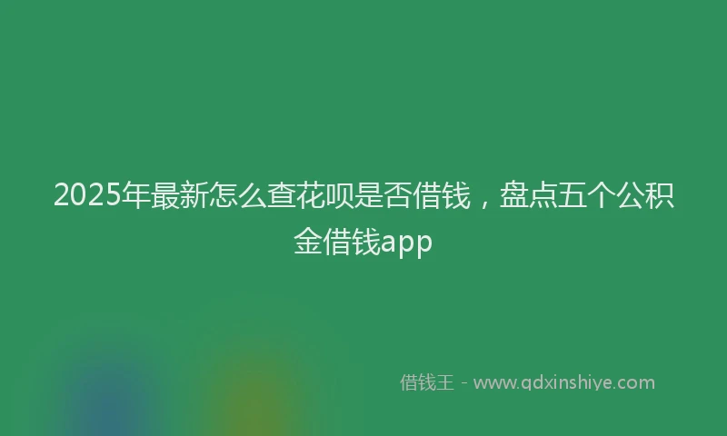 2025年最新怎么查花呗是否借钱，盘点五个公积金借钱app