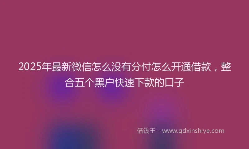 2025年最新微信怎么没有分付怎么开通借款，整合五个黑户快速下款的口子