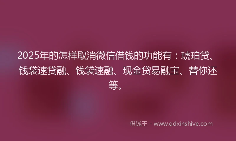 2025年的怎样取消微信借钱的功能有：琥珀贷、钱袋速贷融、钱袋速融、现金贷易融宝、替你还等。