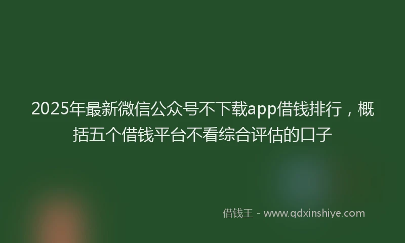 2025年最新微信公众号不下载app借钱排行，概括五个借钱平台不看综合评估的口子