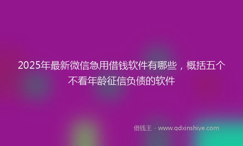 2025年最新微信急用借钱软件有哪些，概括五个不看年龄征信负债的软件