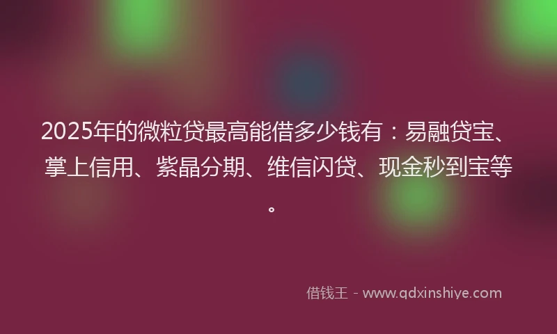 2025年的微粒贷最高能借多少钱有：易融贷宝、掌上信用、紫晶分期、维信闪贷、现金秒到宝等。