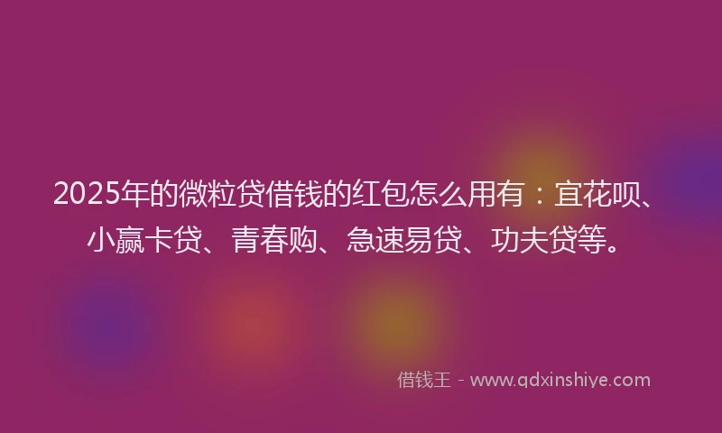 2025年的微粒贷借钱的红包怎么用有：宜花呗、小赢卡贷、青春购、急速易贷、功夫贷等。