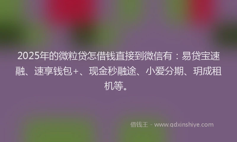 2025年的微粒贷怎借钱直接到微信有：易贷宝速融、速享钱包+、现金秒融途、小爱分期、玥成租机等。