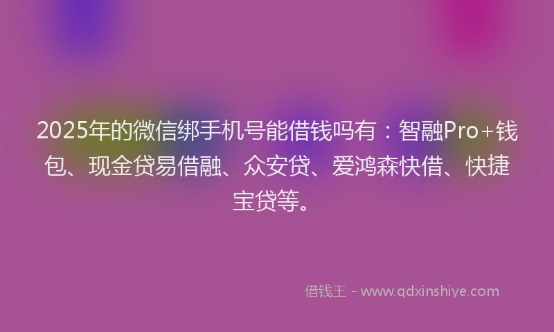 2025年的微信绑手机号能借钱吗有：智融Pro+钱包、现金贷易借融、众安贷、爱鸿森快借、快捷宝贷等。