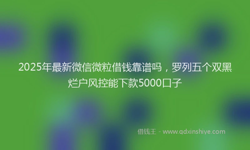 2025年最新微信微粒借钱靠谱吗，罗列五个双黑烂户风控能下款5000口子
