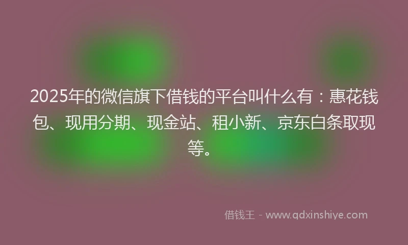2025年的微信旗下借钱的平台叫什么有：惠花钱包、现用分期、现金站、租小新、京东白条取现等。