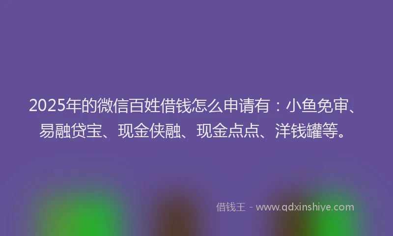 2025年的微信百姓借钱怎么申请有：小鱼免审、易融贷宝、现金侠融、现金点点、洋钱罐等。