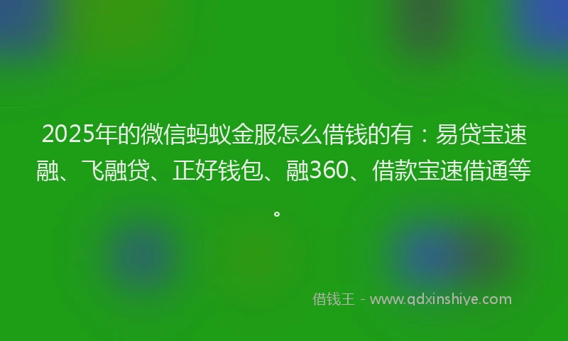 2025年的微信蚂蚁金服怎么借钱的有：易贷宝速融、飞融贷、正好钱包、融360、借款宝速借通等。