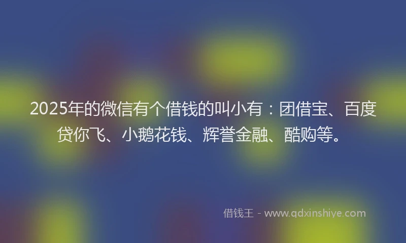 2025年的微信有个借钱的叫小有：团借宝、百度贷你飞、小鹅花钱、辉誉金融、酷购等。