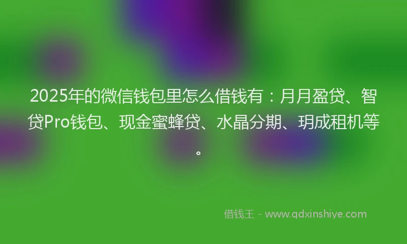 2025年的微信钱包里怎么借钱有：月月盈贷、智贷Pro钱包、现金蜜蜂贷、水晶分期、玥成租机等。