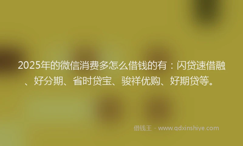 2025年的微信消费多怎么借钱的有：闪贷速借融、好分期、省时贷宝、骏祥优购、好期贷等。
