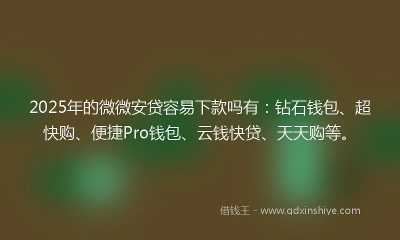 2025年的微微安贷容易下款吗有：钻石钱包、超快购、便捷Pro钱包、云钱快贷、天天购等。