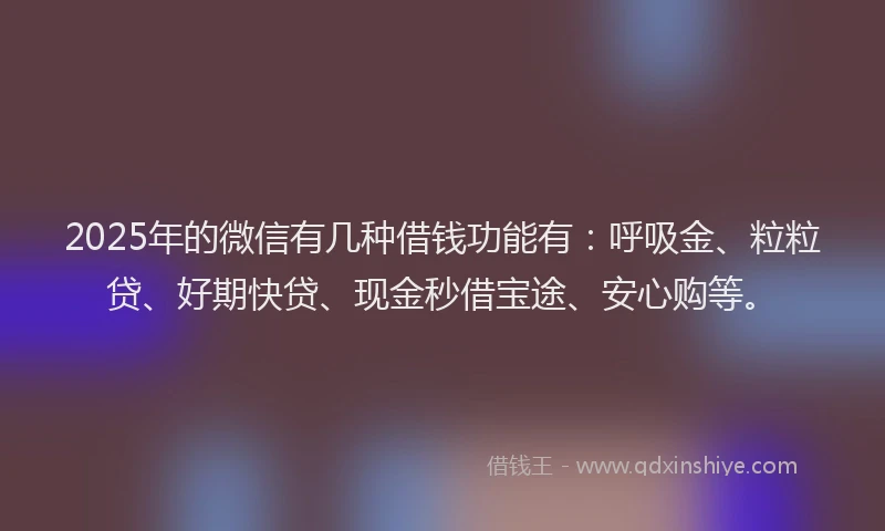 2025年的微信有几种借钱功能有：呼吸金、粒粒贷、好期快贷、现金秒借宝途、安心购等。