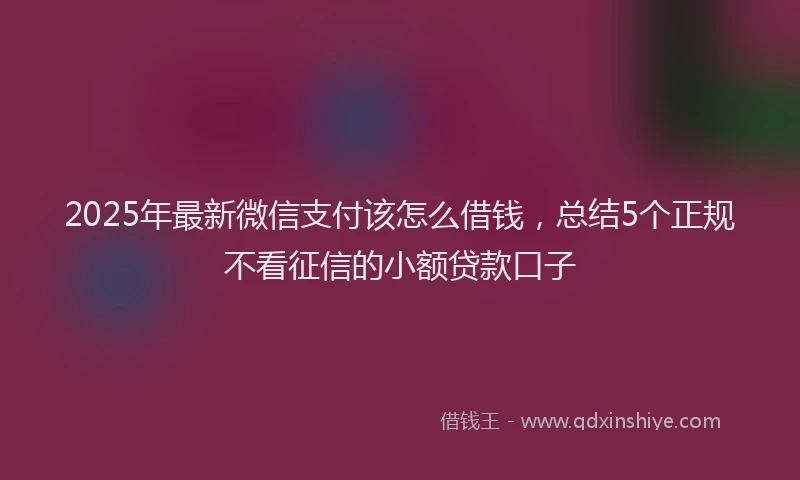 2025年最新微信支付该怎么借钱，总结5个正规不看征信的小额贷款口子