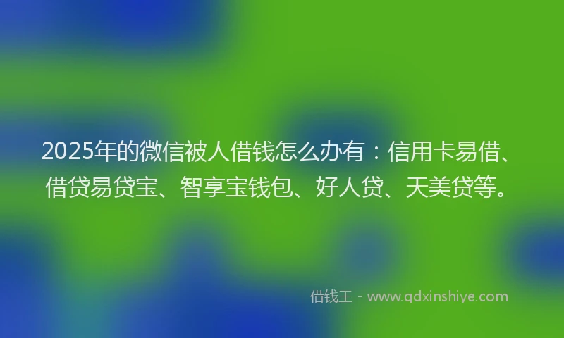 2025年的微信被人借钱怎么办有：信用卡易借、借贷易贷宝、智享宝钱包、好人贷、天美贷等。