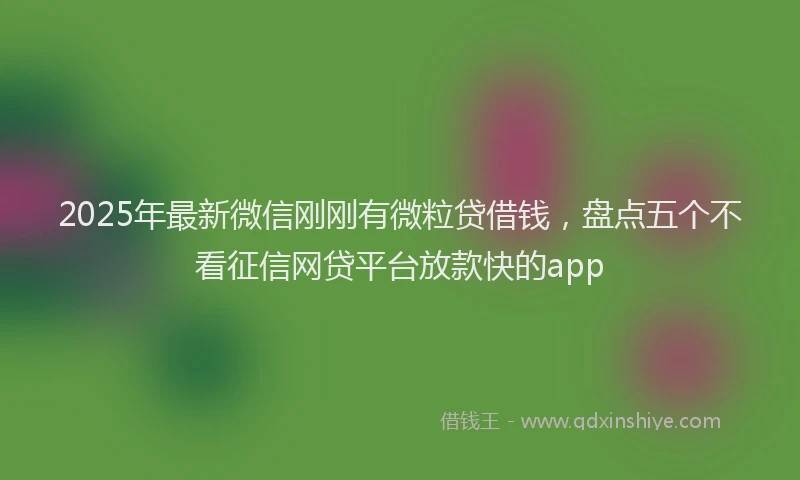 2025年最新微信刚刚有微粒贷借钱，盘点五个不看征信网贷平台放款快的app