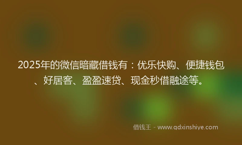 2025年的微信暗藏借钱有：优乐快购、便捷钱包、好居客、盈盈速贷、现金秒借融途等。