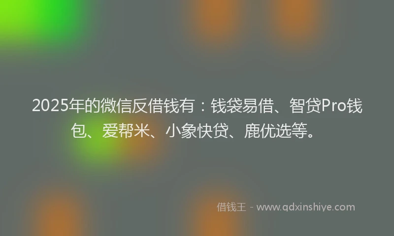 2025年的微信反借钱有：钱袋易借、智贷Pro钱包、爱帮米、小象快贷、鹿优选等。