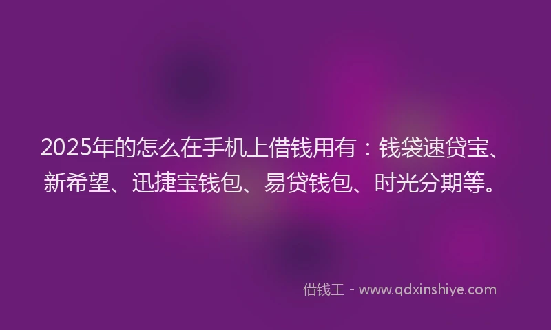 2025年的怎么在手机上借钱用有：钱袋速贷宝、新希望、迅捷宝钱包、易贷钱包、时光分期等。