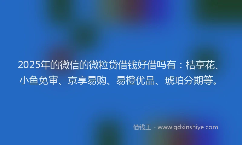 2025年的微信的微粒贷借钱好借吗有：桔享花、小鱼免审、京享易购、易橙优品、琥珀分期等。