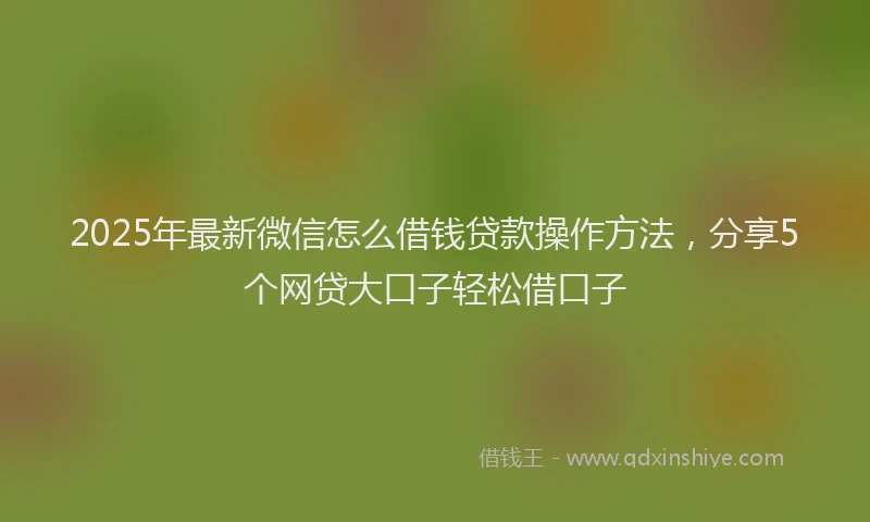 2025年最新微信怎么借钱贷款操作方法，分享5个网贷大口子轻松借口子