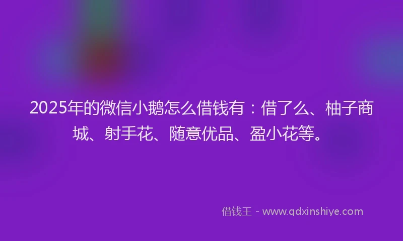 2025年的微信小鹅怎么借钱有：借了么、柚子商城、射手花、随意优品、盈小花等。