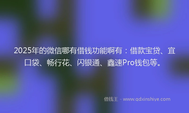 2025年的微信哪有借钱功能啊有：借款宝贷、宜口袋、畅行花、闪银通、鑫速Pro钱包等。