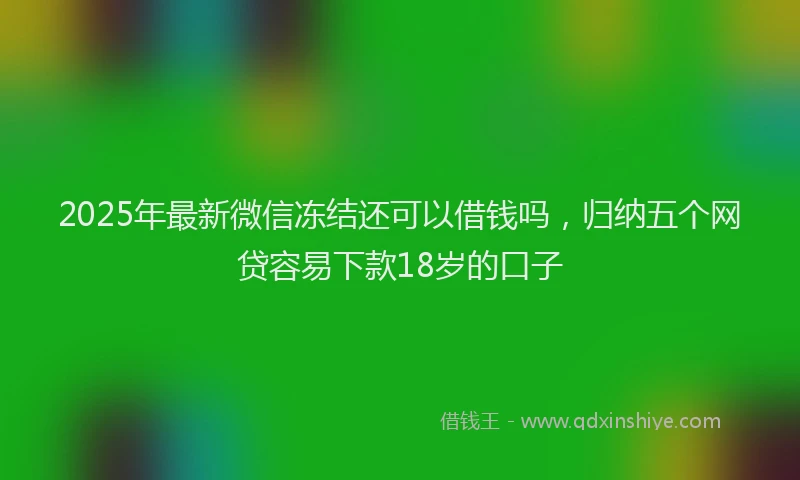 2025年最新微信冻结还可以借钱吗，归纳五个网贷容易下款18岁的口子