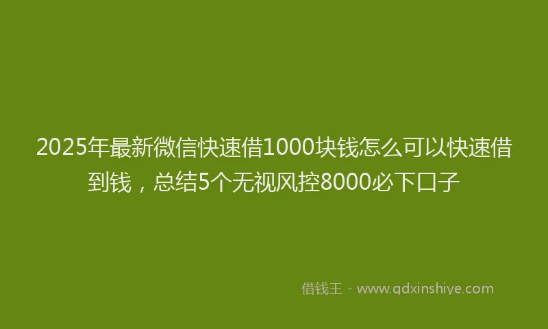 2025年最新微信快速借1000块钱怎么可以快速借到钱，总结5个无视风控8000必下口子