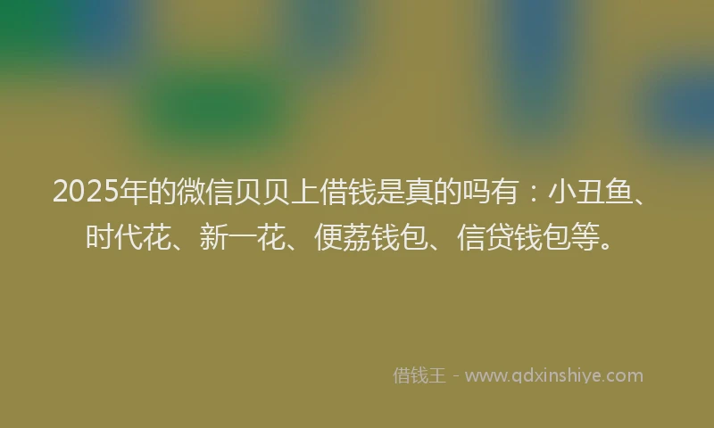 2025年的微信贝贝上借钱是真的吗有：小丑鱼、时代花、新一花、便荔钱包、信贷钱包等。