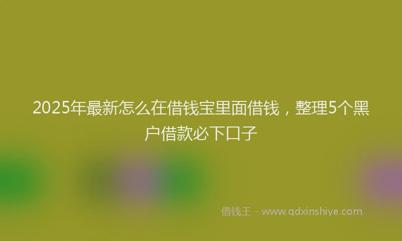 2025年最新怎么在借钱宝里面借钱，整理5个黑户借款必下口子