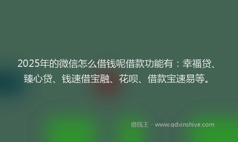 2025年的微信怎么借钱呢借款功能有：幸福贷、臻心贷、钱速借宝融、花呗、借款宝速易等。