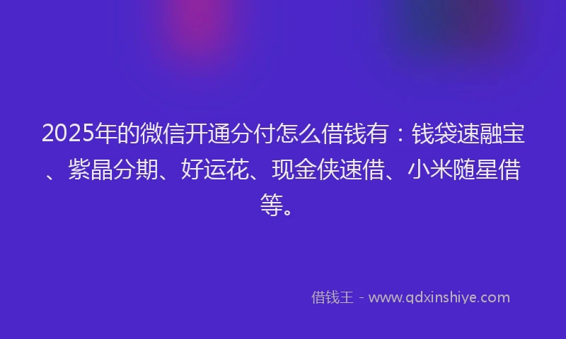 2025年的微信开通分付怎么借钱有：钱袋速融宝、紫晶分期、好运花、现金侠速借、小米随星借等。