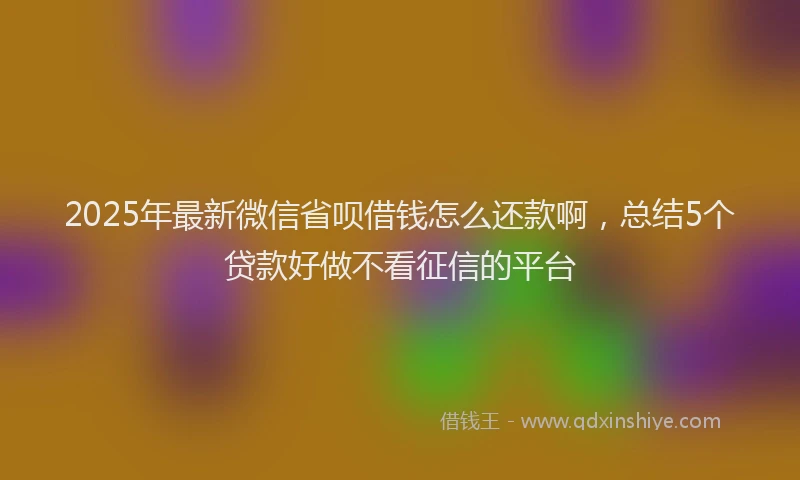 2025年最新微信省呗借钱怎么还款啊，总结5个贷款好做不看征信的平台