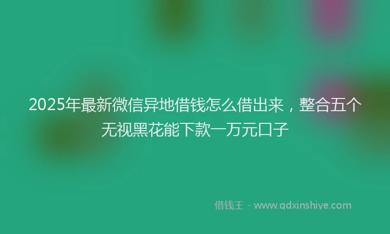 2025年最新微信异地借钱怎么借出来，整合五个无视黑花能下款一万元口子