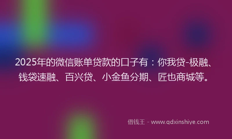 2025年的微信账单贷款的口子有：你我贷-极融、钱袋速融、百兴贷、小金鱼分期、匠也商城等。