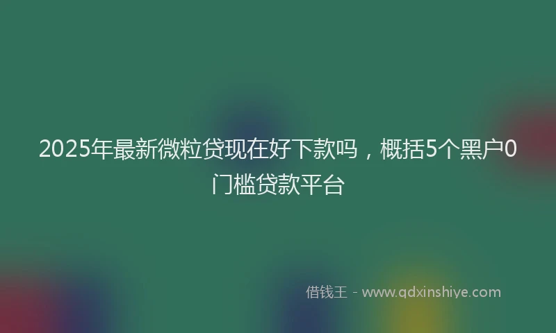 2025年最新微粒贷现在好下款吗，概括5个黑户0门槛贷款平台
