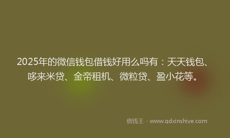 2025年的微信钱包借钱好用么吗有：天天钱包、哆来米贷、金帝租机、微粒贷、盈小花等。