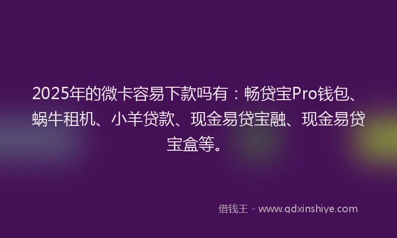 2025年的微卡容易下款吗有：畅贷宝Pro钱包、蜗牛租机、小羊贷款、现金易贷宝融、现金易贷宝盒等。