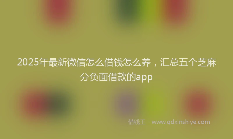 2025年最新微信怎么借钱怎么养，汇总五个芝麻分负面借款的app